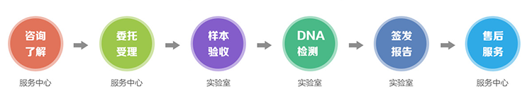 广州隐私亲子鉴定流程